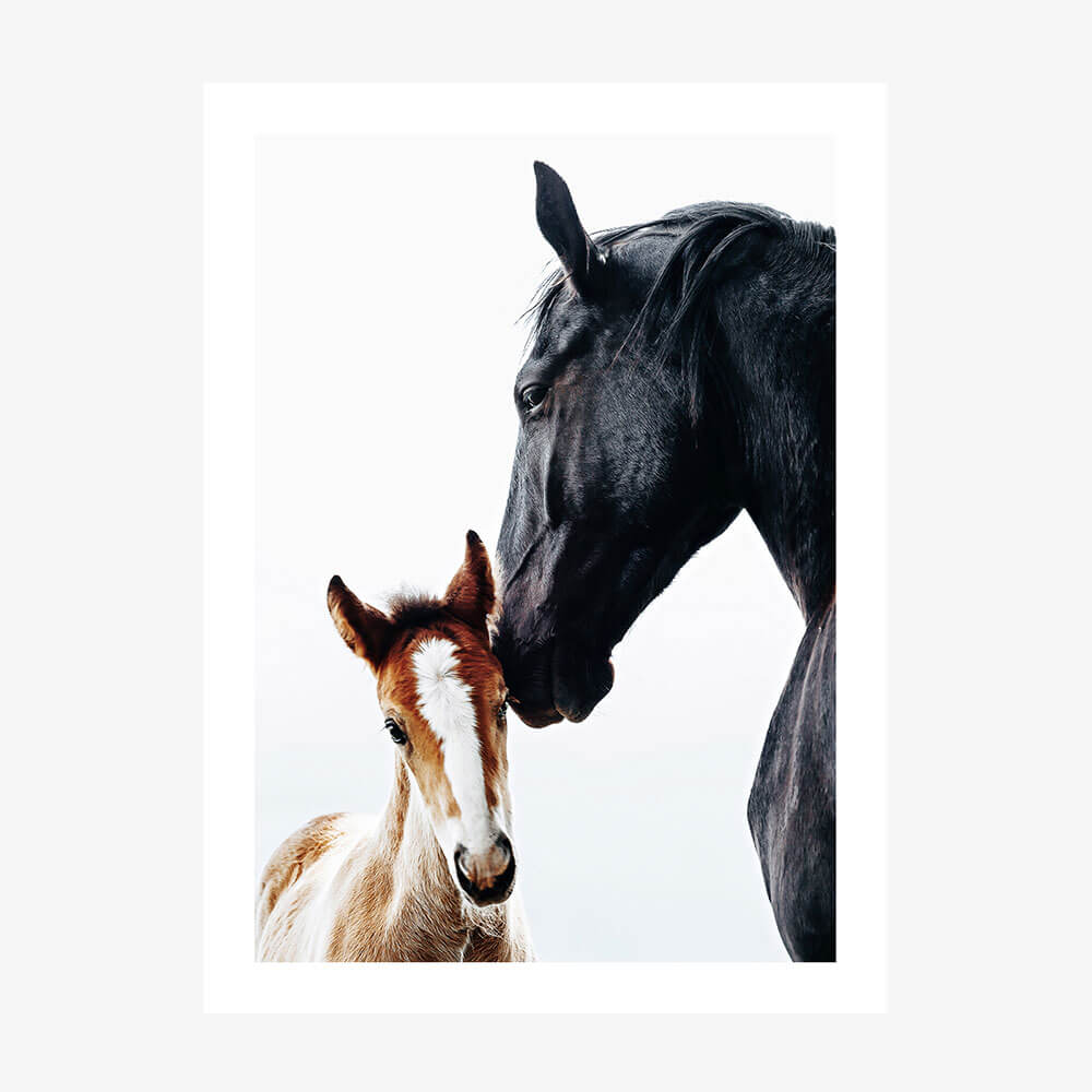 A photo print of a black horse nuzzling a young, brown and white foal.