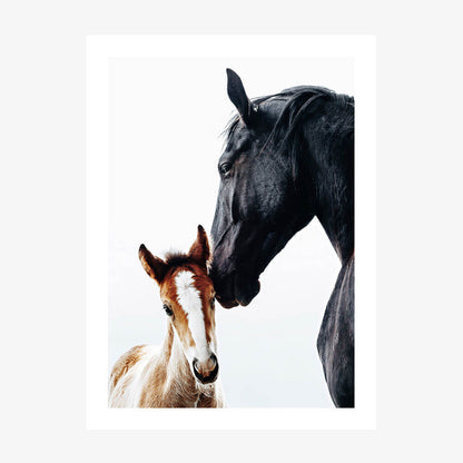 A photo print of a black horse nuzzling a young, brown and white foal.