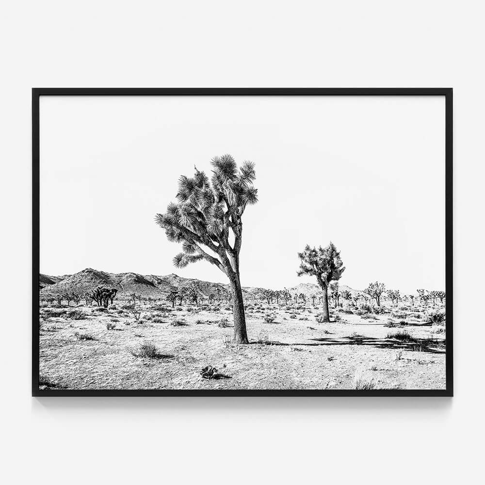 Yucca Valley B&W