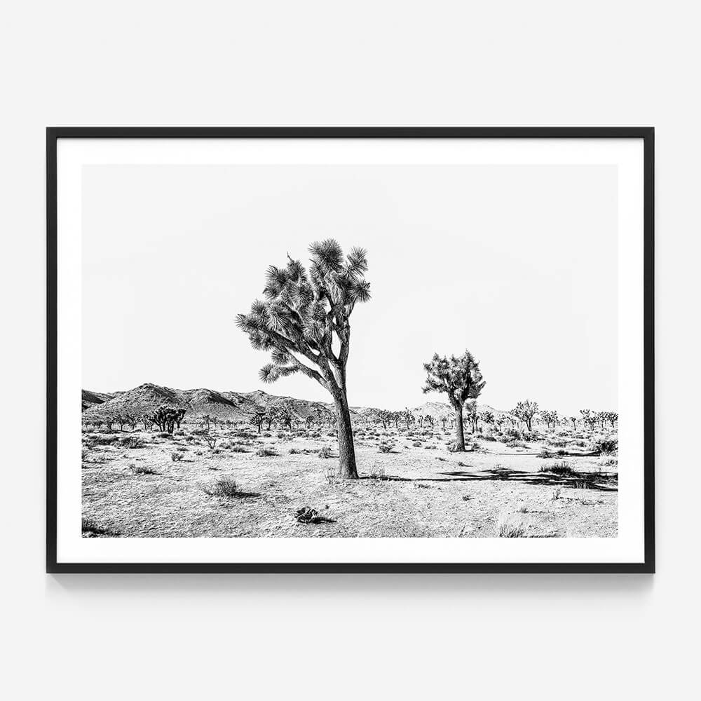 Yucca Valley B&W