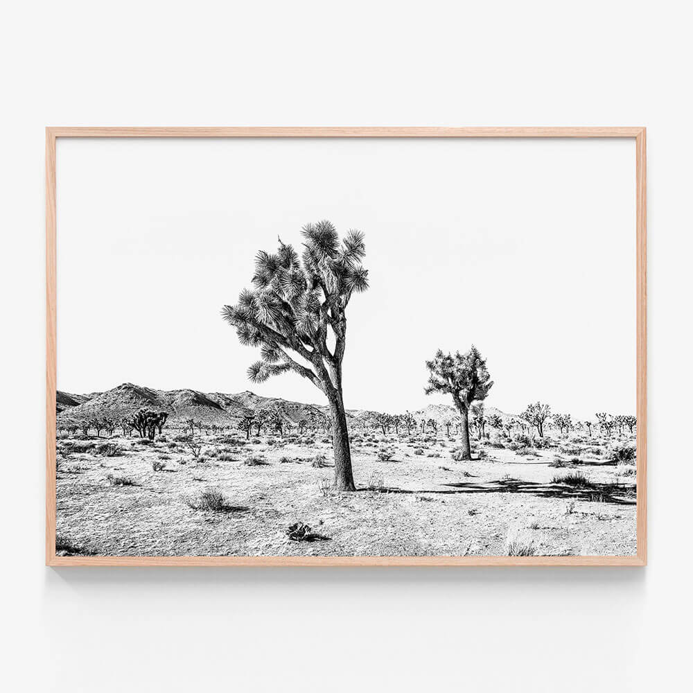 Yucca Valley B&W