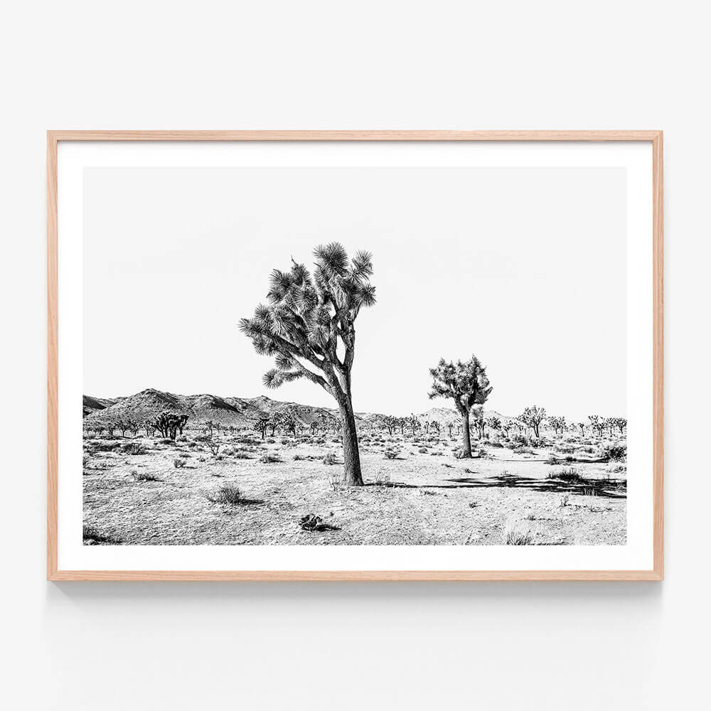 Yucca Valley B&W
