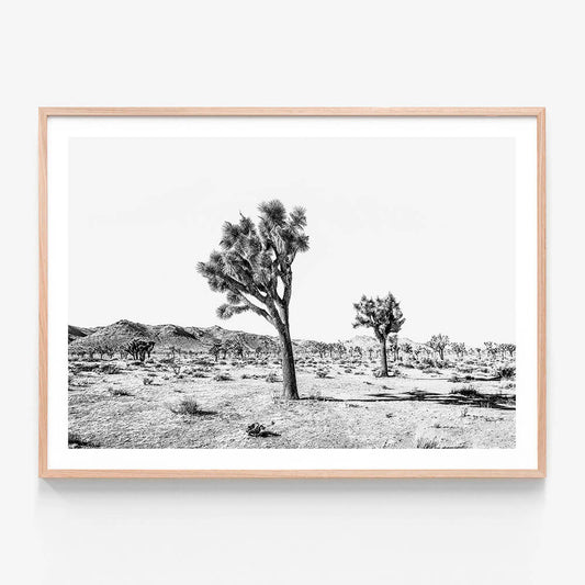 Yucca Valley B&W