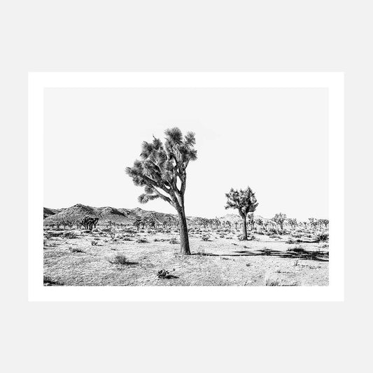 Yucca Valley B&W