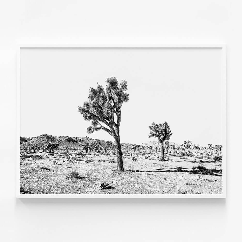 Yucca Valley B&W