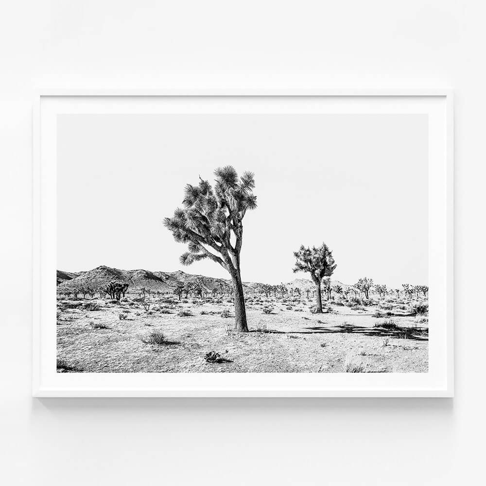 Yucca Valley B&W