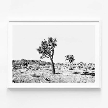 Yucca Valley B&W