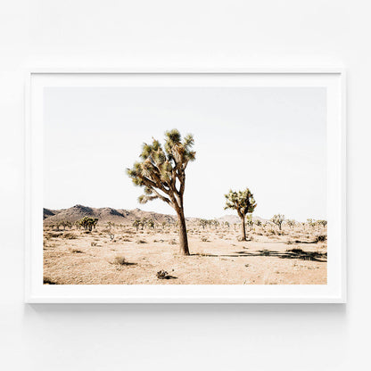 Yucca Valley