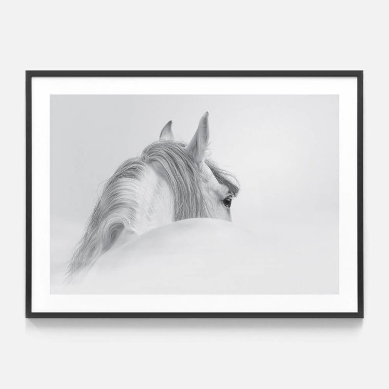 Horse photographic print in black frame
