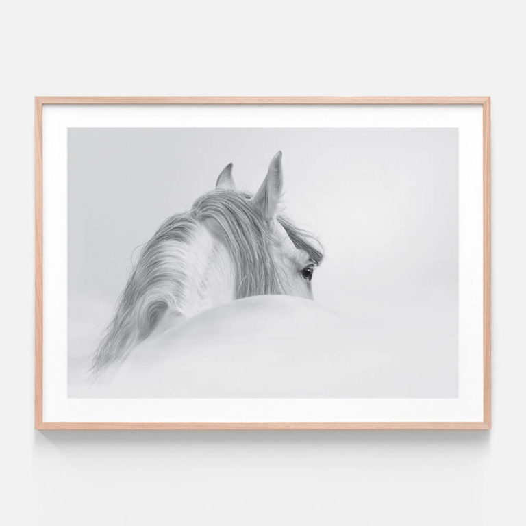 Horse photographic print in oak frame