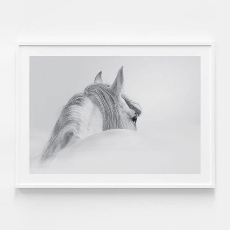Horse photographic print in white frame