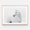 APP010 Horse Lover Oak