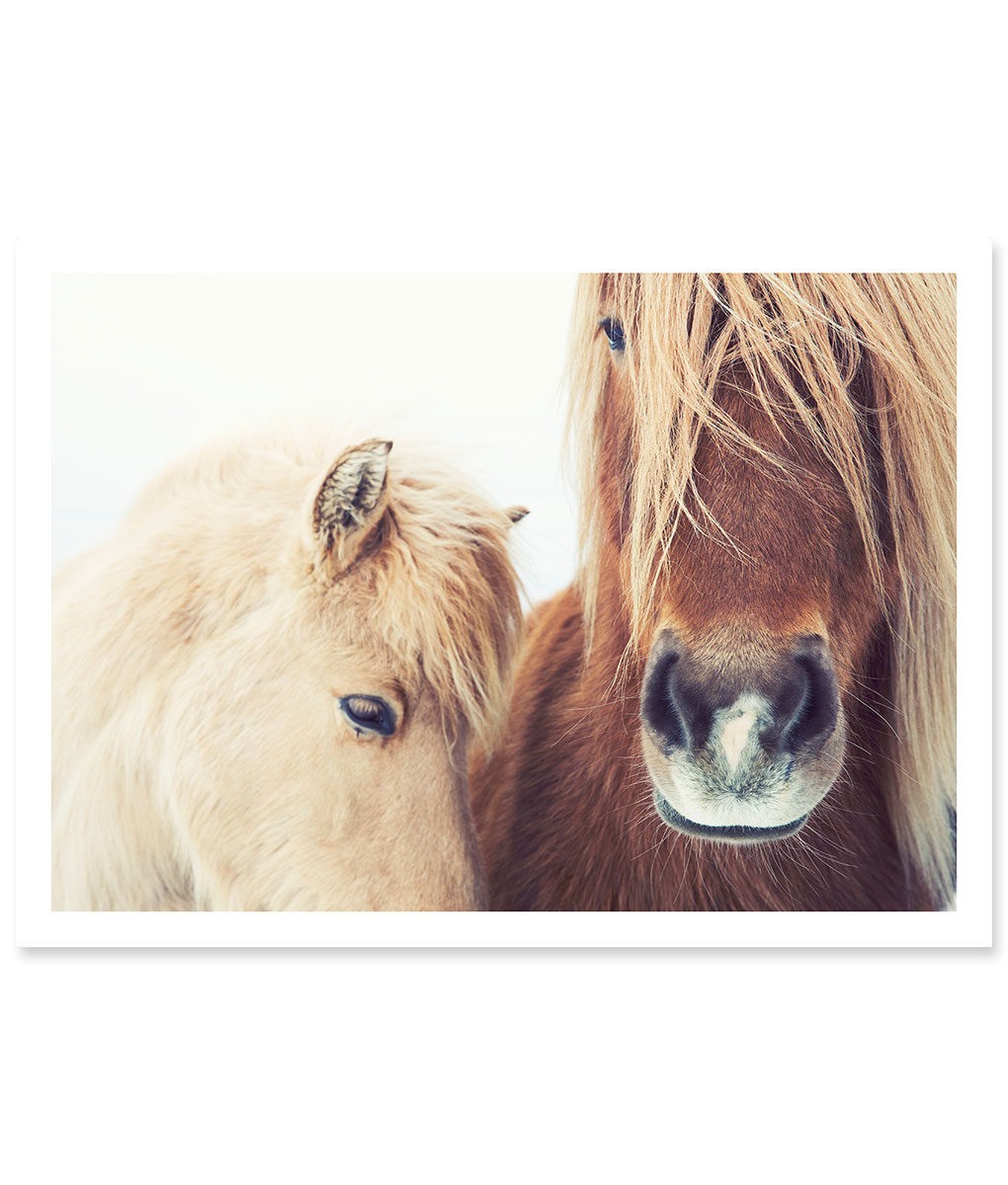 Wild Ponies Framed Print | 41 Orchard