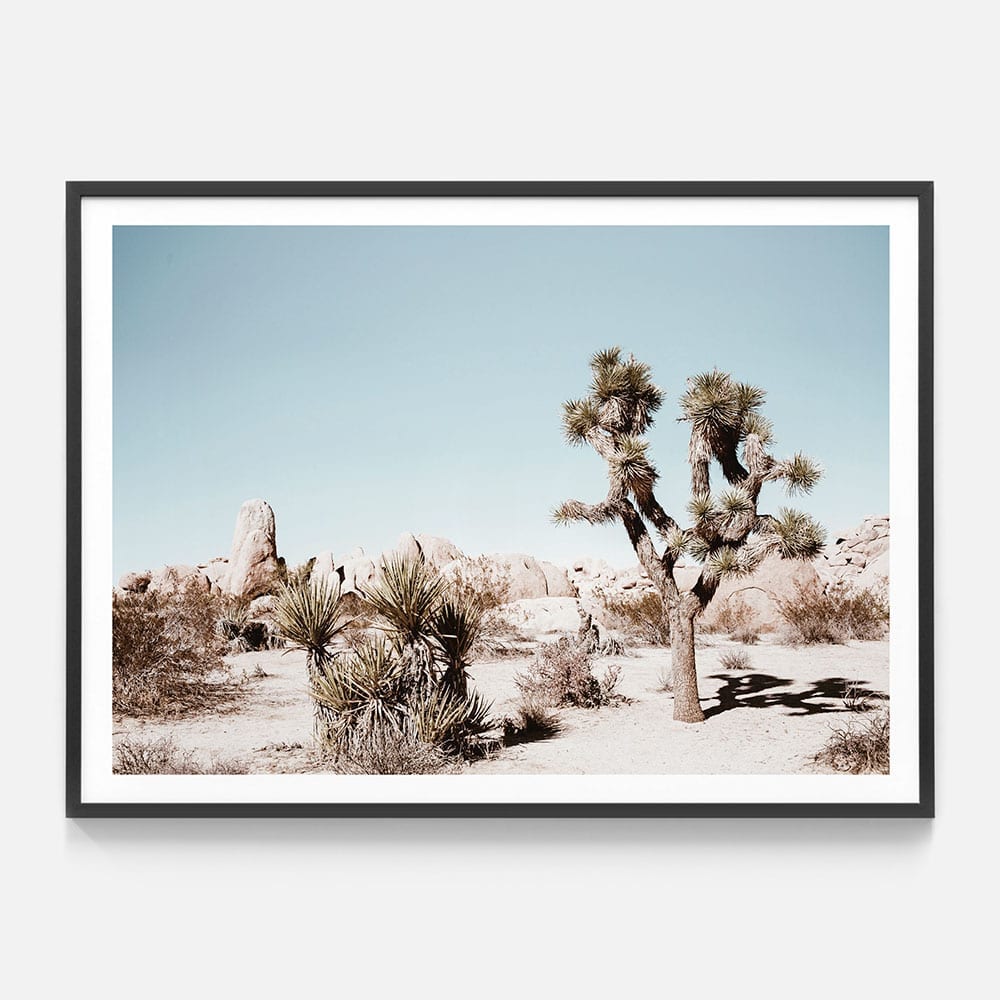Joshua Tree Print Wall Art Poster or Framed Print 41 Orchard