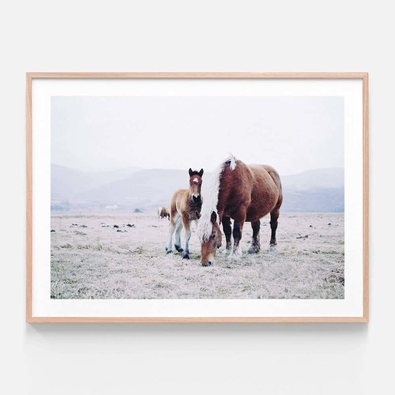 APP040-Mother-&-Foal-Oak