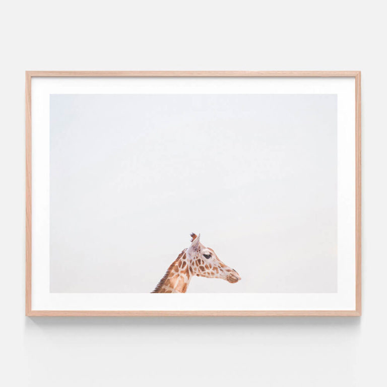 Happy Giraffe Framed Print in Oak