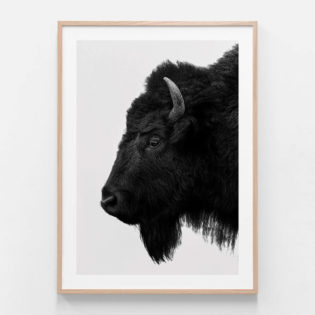 APP160-Black-Bison-Oak