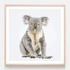Hello Koala Oak Framed Print