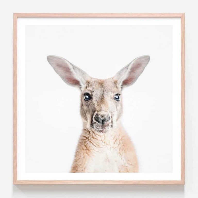 Hello Kangaroo Oak Framed Print