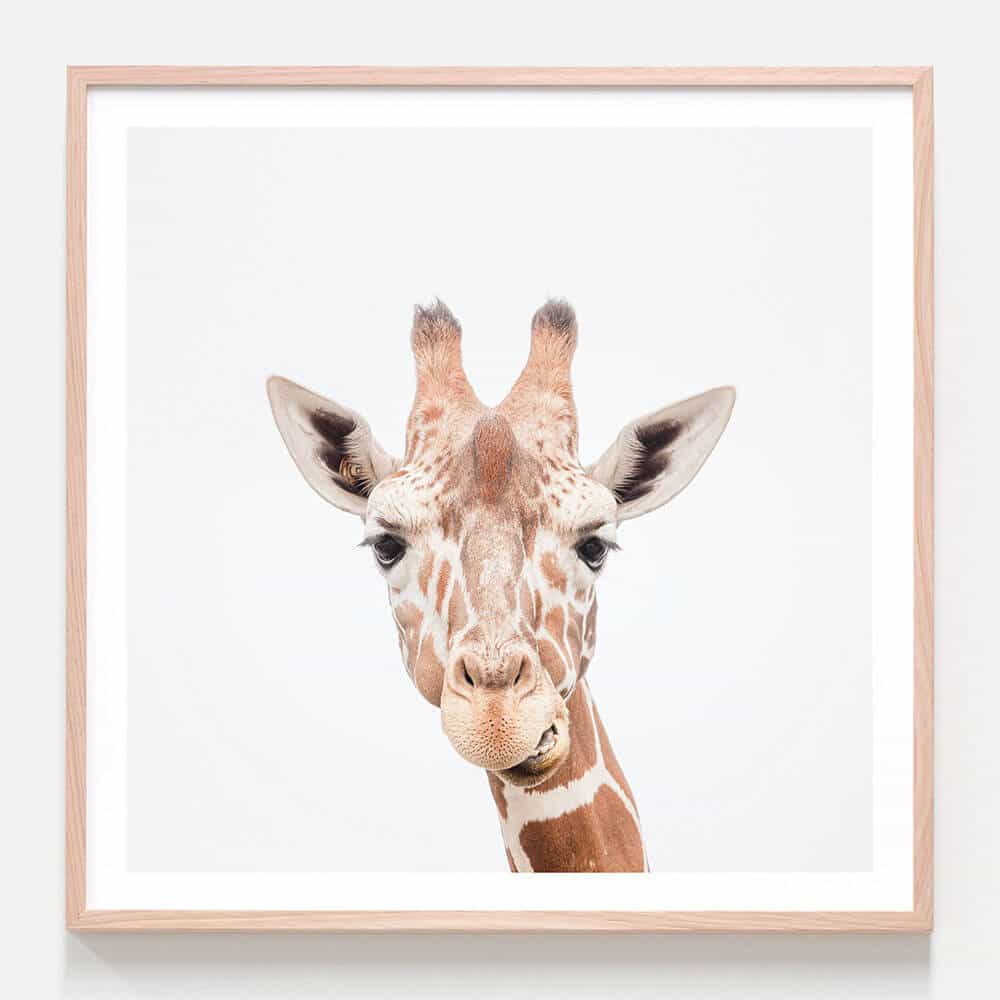 Holds a 3.5 x 5 or 4 x 6 Photo Personalized Giraffe Printed Frame 