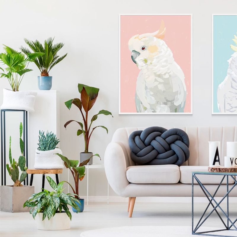 Pink Cockatoo Framed Print