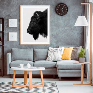Black Bison Framed Print Oak