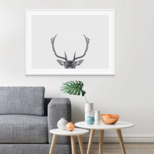 Deer Antlers Framed Print
