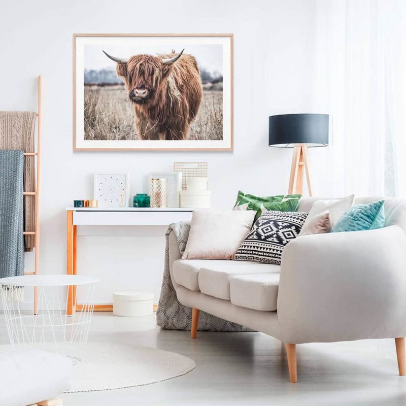 Highland Cow IV Framed Print