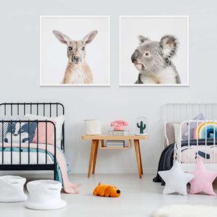 Kangaroo Koala Framed Prints