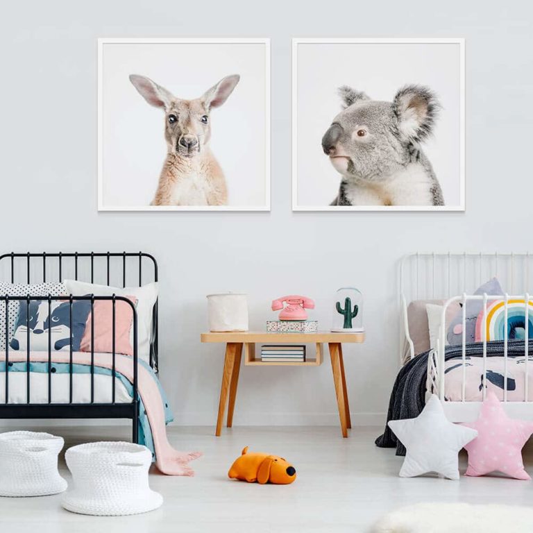 Kangaroo Koala Framed Prints