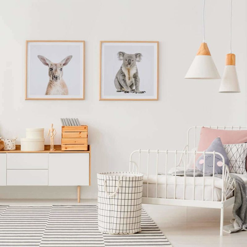 Kangaroo Print Framed Prints 1