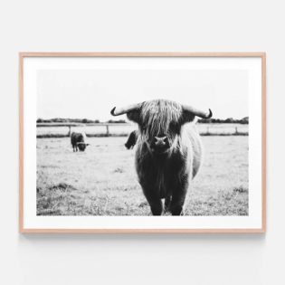 APP193-Hello-Wild-One-Oak-Framed-Print