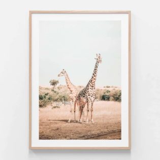 APP207-Giraffe-Goals-Oak-Framed-Print
