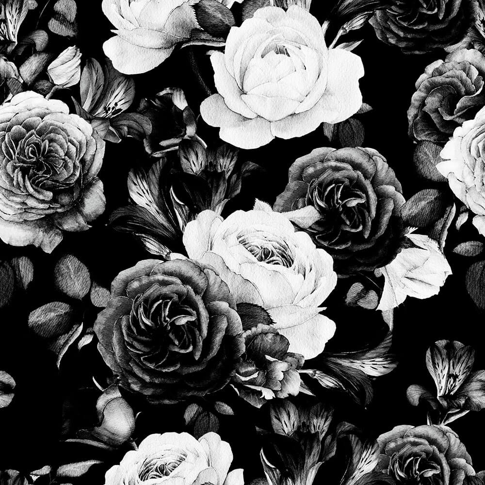 black rose wallpaper