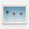 APP084-Three-Palms-Oak-Framed-Print