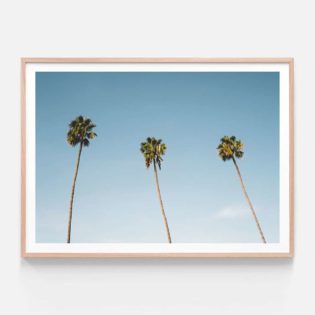 APP084-Three-Palms-Oak-Framed-Print