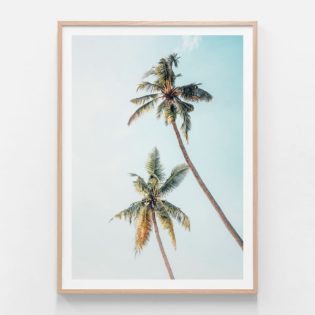 APP359-Coconut-Palms-Oak-Framed-Print