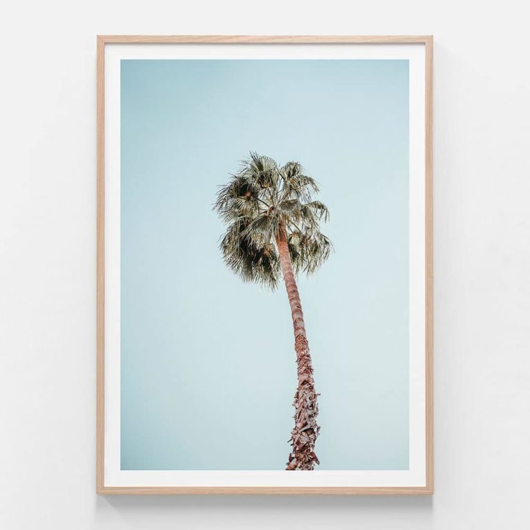 APP371-Solo-Palm-Oak-Framed-Print