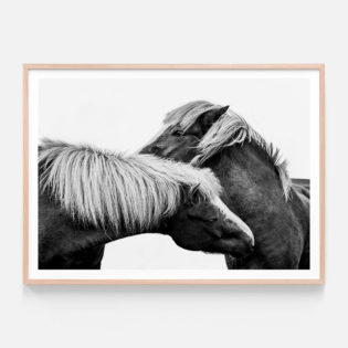 APP379-Affection-Oak-Framed-Print