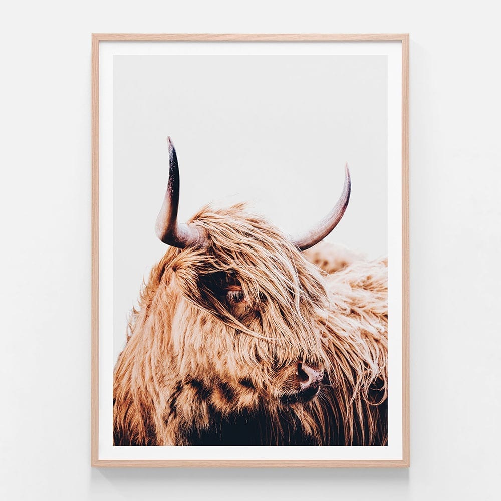 Hamish Highland Cow Framed Print or Canvas Wall Art 41 Orchard