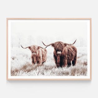 APP392-Highland-Pair-Oak-Framed-Print