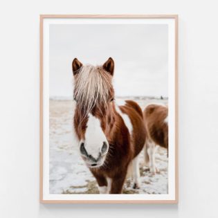 APP394-Wild-Horse-No.-1-Oak-Framed-Print