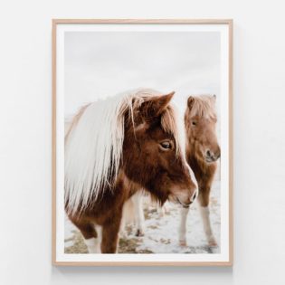 APP395-Wild-Horse-No.-2-Oak-Framed-Print