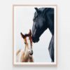 APP400-Young-Foal-Oak-Framed-Print