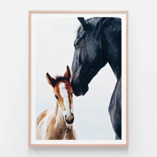 APP400-Young-Foal-Oak-Framed-Print