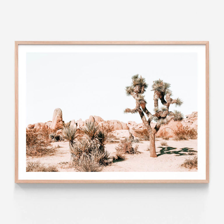 APP007-Joshua-Tree-Oak-Framed-Print