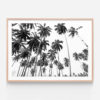 Beach-Palms-Oak-Framed-Print