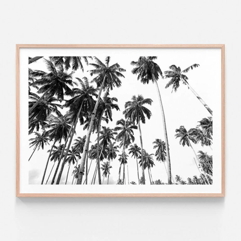 Beach-Palms-Oak-Framed-Print