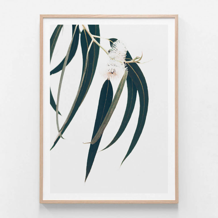 Dark-Eucalyptus-Leaves-Oak-Framed-Print