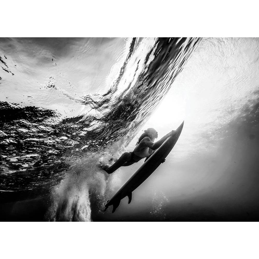 Duck Dive Framed Print or Canvas Wall Art 41 Orchard